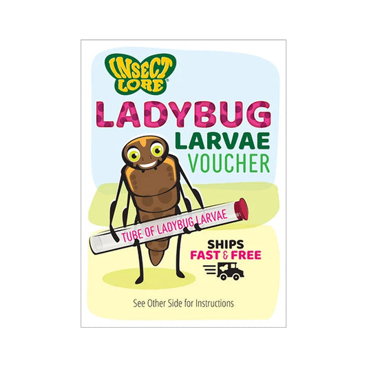 Ladybug Land with Prepaid Voucher - - Fat Brain Toys - US 7370