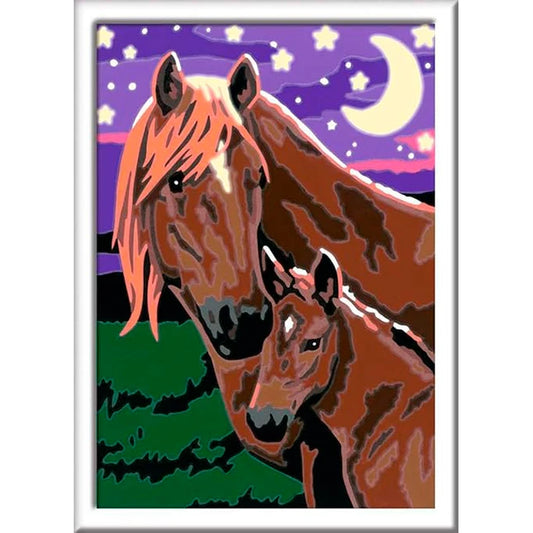 CreArt Horses at Midnight Glow - 5x7 - Best for Ages 7 to 12 - US 3155