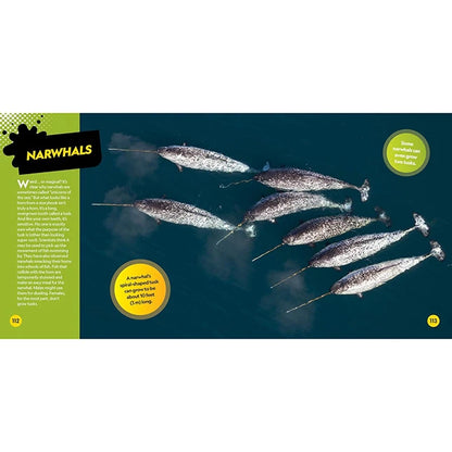 National Geographic Kids Weirdest Animals on the Planet - US 2801