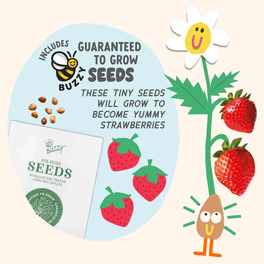 Paint &amp; Grow - Strawberry - Best Arts &amp; Crafts for Ages 8 to 12 - US 9481