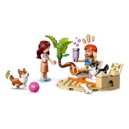 LEGO Friends - Surfing Dogs and Scooter Adventure - US 2015