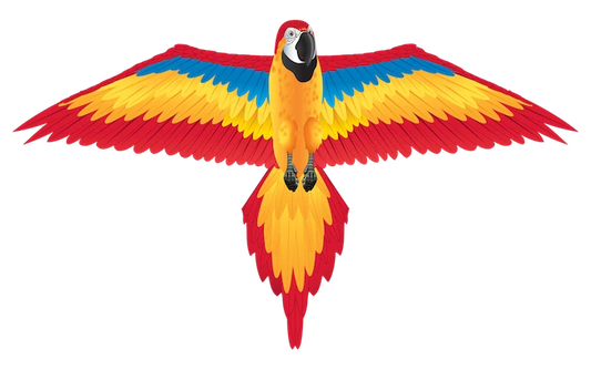 Nylon 2D Kite - Red Macaw - Best Active Play for Ages 8 to 12 - US 3639