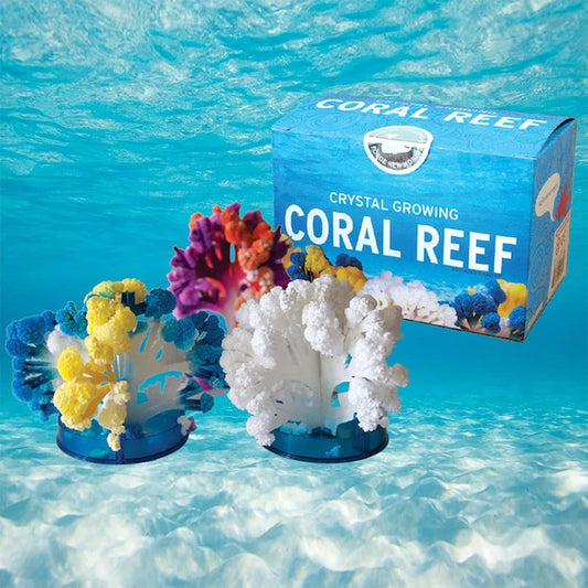 National Geographic Crystal Reef - Best for Ages 8 to 11 - US 6294