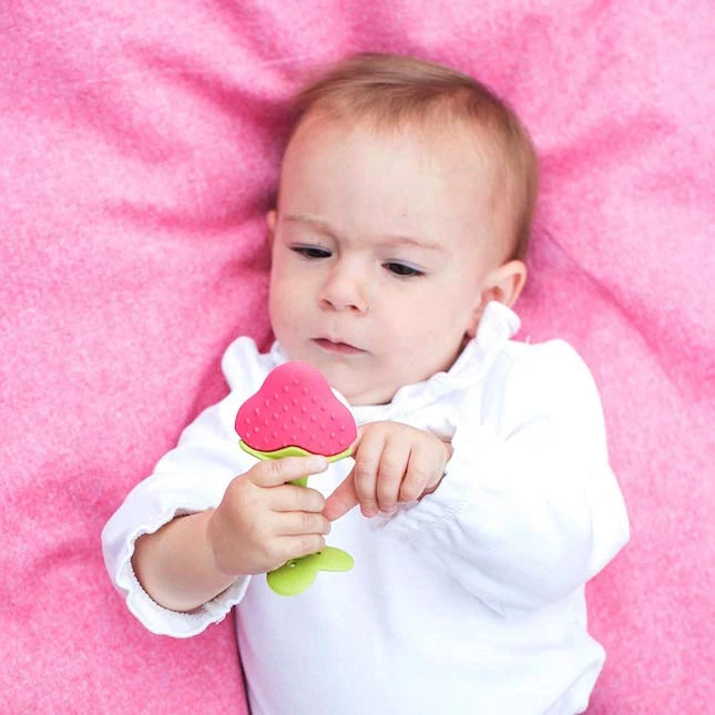 EZ Grip Massaging Teether Fruit - Best for Ages 1 to 2 - US 9443