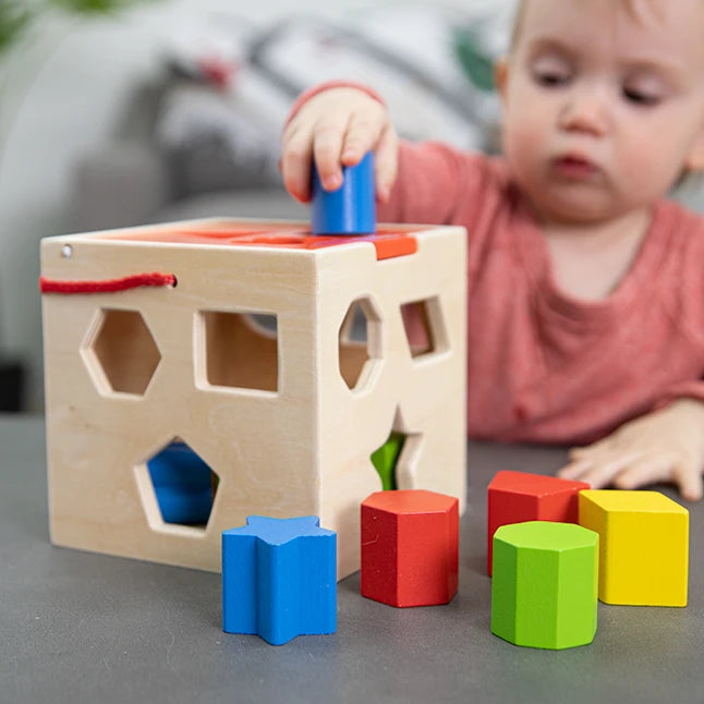 Take-Along Shape Sorter - Best Baby Toys &amp; Gifts for Babies - US 7142